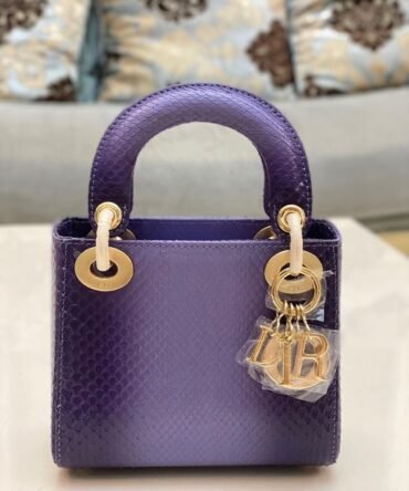 Dior bag-Handbag