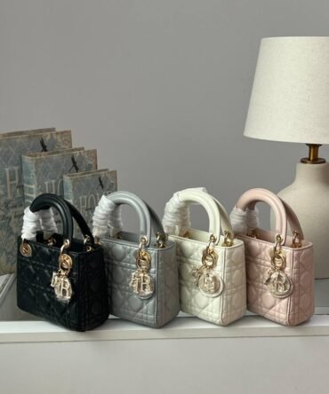 Dior bag-Handbag
